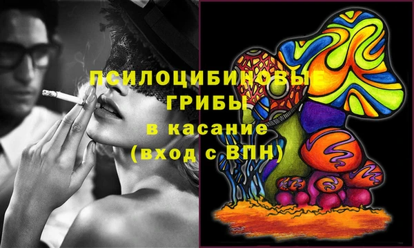 тгк Новодвинск