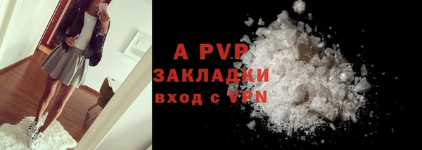 тгк Новодвинск