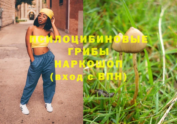 тгк Новодвинск