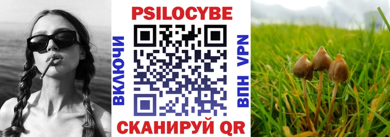 Купить закладки  Усть-Катав  Галлюциногенные грибы Cubensis 